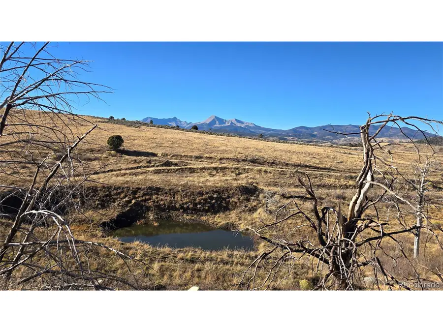 7741 Van Giesen Rd, Fort Garland, CO 81133 - #2