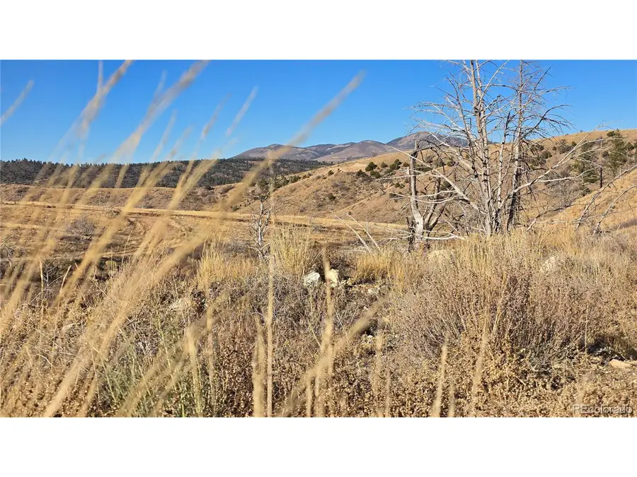 7741 Van Giesen Rd, Fort Garland, CO 81133 - #3
