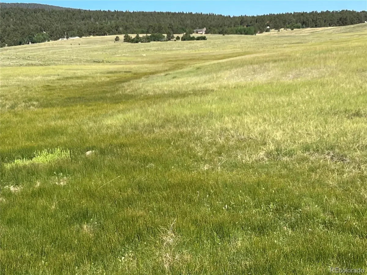 Address Withheld By Seller, Hartsel, CO 80449 - Image #1