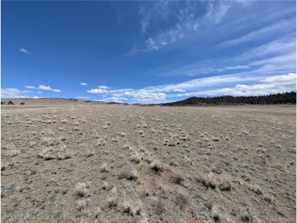 Athapascan Rd, Hartsel, CO 80449