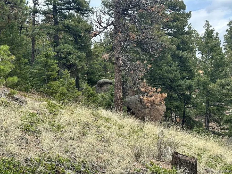 275 Upper Vista Rd, Manitou Springs, CO 80829 - #3