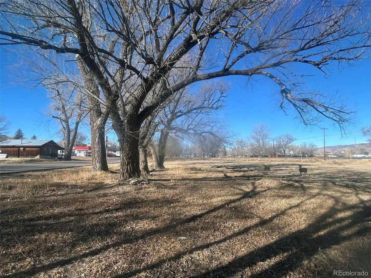 Highway 285, Saguache, CO 81149 - #1