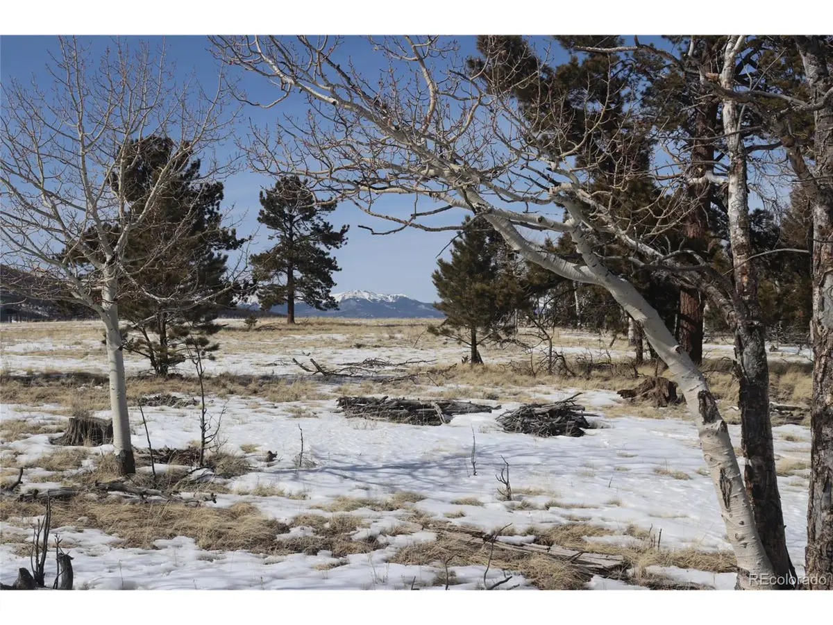 96 Baler Ct, Hartsel, CO 80449 - #1