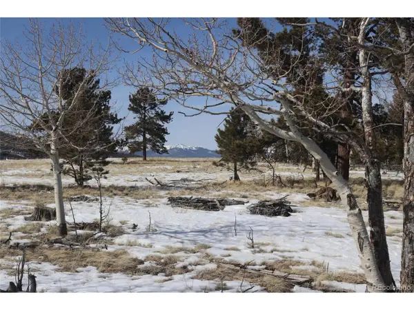96 Baler Ct, Hartsel, CO 80449