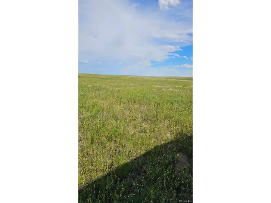 37855 Shear Rd, Yoder, CO 80864 - #2