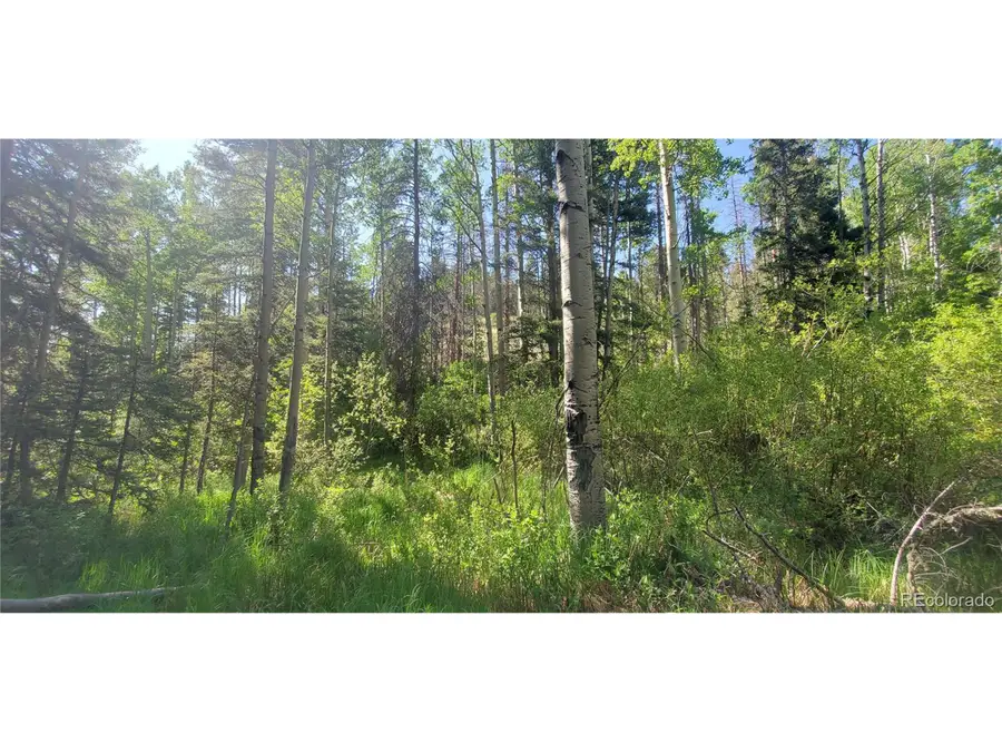 5660 Kawasaki Rd, San Luis, CO 81152 - #3