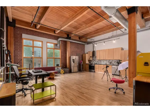 2955 Inca St #2Q, Denver, CO 80202