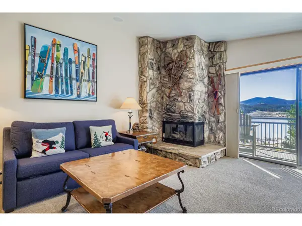 160 E La Bonte St #306, Dillon, CO 80435