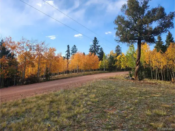 2642 Yorktown Rd, Cripple Creek, CO 80813