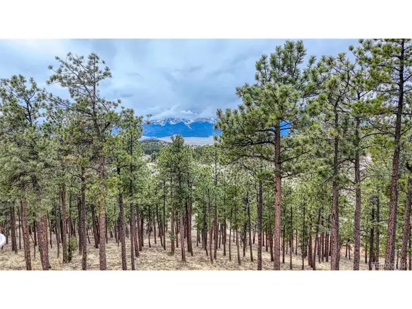 43 S Ben Eaton Ln, Westcliffe, CO 81252
