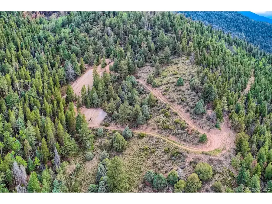 1835 Harvest Moon Trail, Dumont, CO 80436 - Image #2