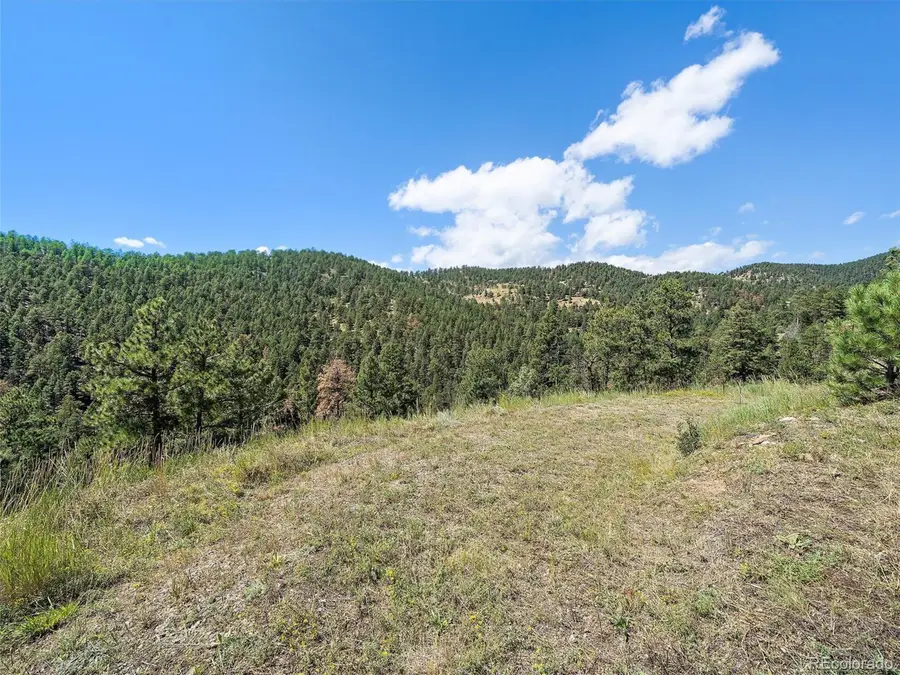 13809 Elsie Rd, Conifer, CO 80433 - Image #3