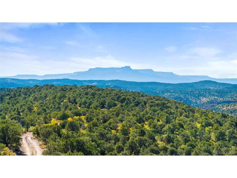 Tollerburg Rd, Trinidad, CO 81082 - Image #3