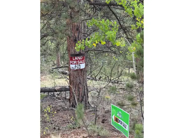 414 Hall Rd, Bailey, CO 80421