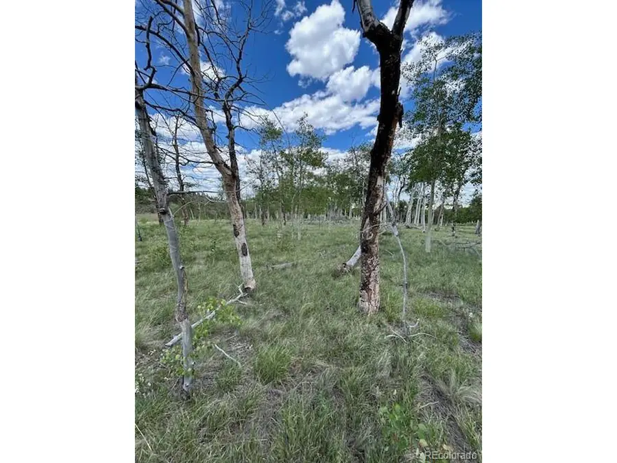 807 Bolster Dr, Hartsel, CO 80449 - #2