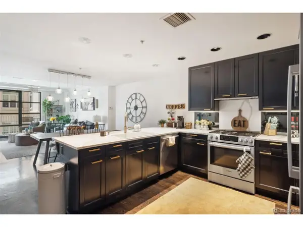 1590 Little Raven St #506, Denver, CO 80202