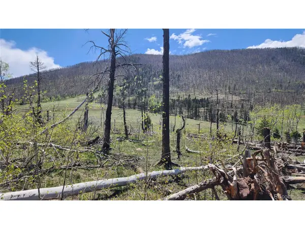 2334 Wohlstetter Loop, Fort Garland, CO 81133