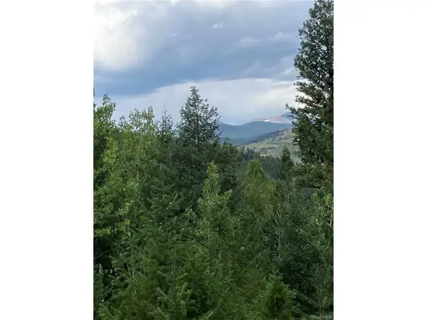 7 Miners Rd, Black Hawk, CO 80422