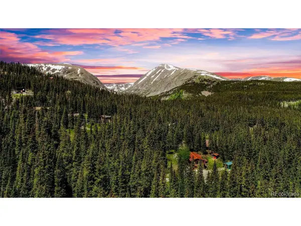 307 Cr 674, Breckenridge, CO 80424