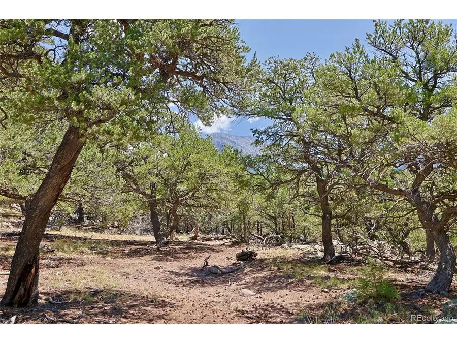 453 Arrowhead Way, Crestone, CO 81131 - Image #2