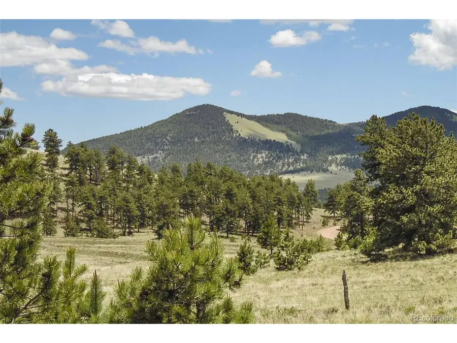 129 Eagle Nest Trl, Guffey, CO 80820 - Image #2