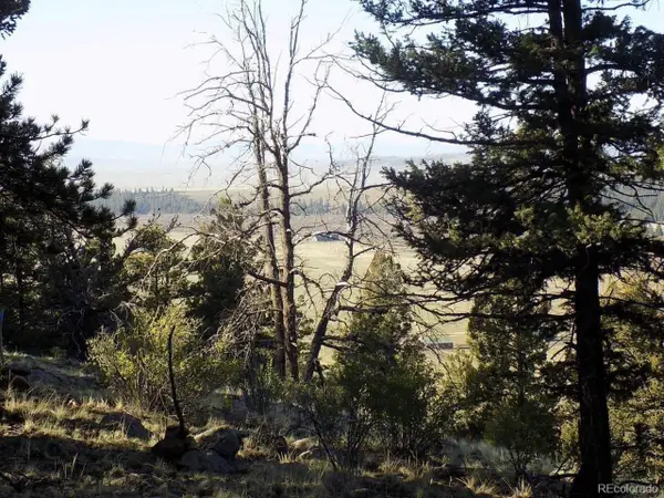 2381 Redhill Rd, Fairplay, CO 80440