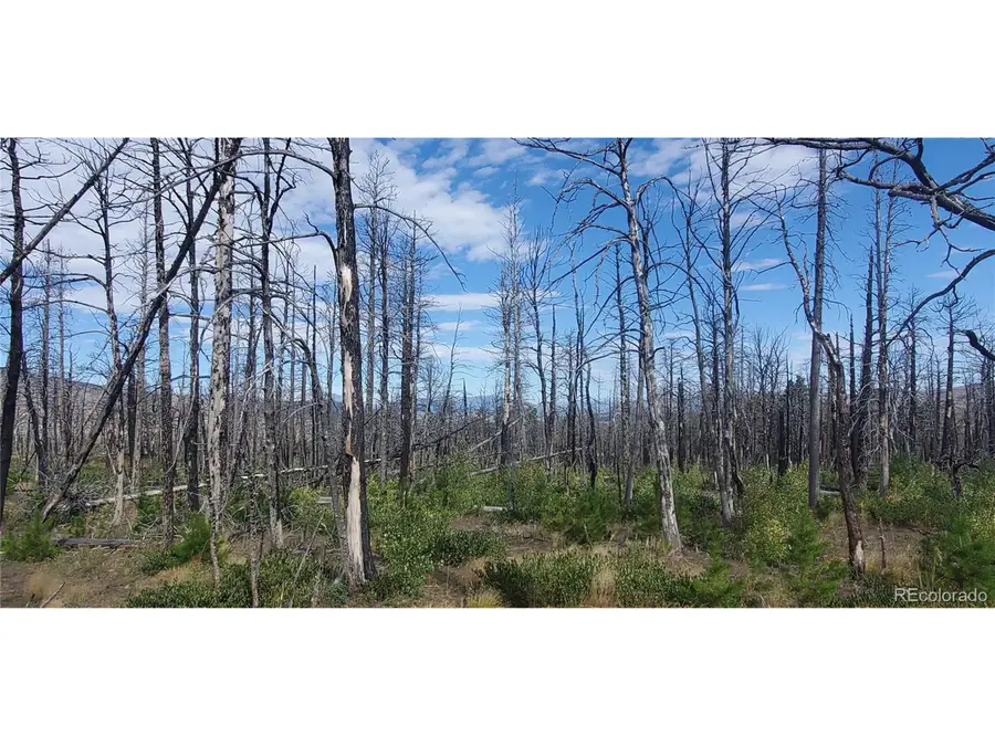 2298 Sigler Dr, Fort Garland, CO 81133 - #2