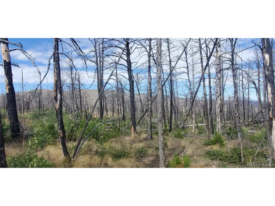 2298 Sigler Dr, Fort Garland, CO 81133 - #3