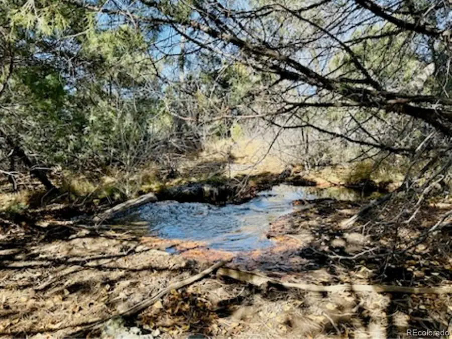 15 Lake Of The Falls, Mosca, CO 81146 - Image #2