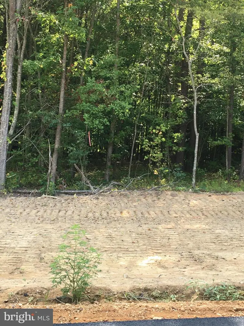 7351 Spring Hill Ct, La Plata, MD 20646 - Image #3