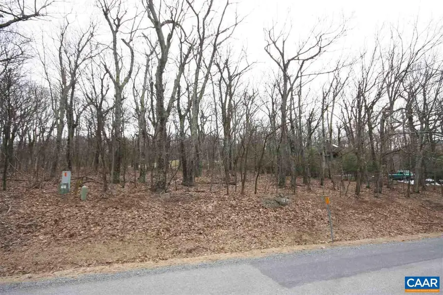 355 Devils Knob Loop Loop, Wintergreen, VA 22958 - Image #3