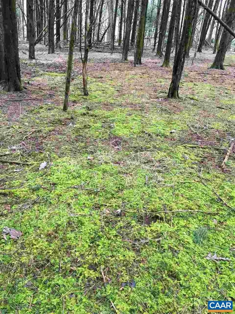 503 Garden Ln Ln, Palmyra, VA 22963 - Image #3