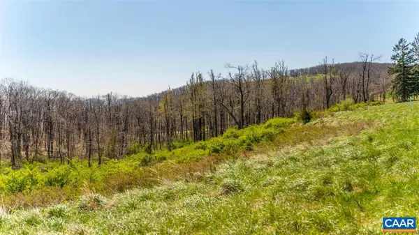 Lot 16 Howardsville Tpke, AFTON, VA 22920