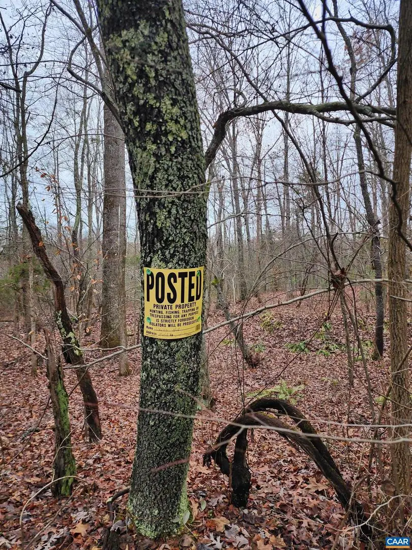 Tbd Union Hill Rd, Buckingham, VA 23921 - Image #2