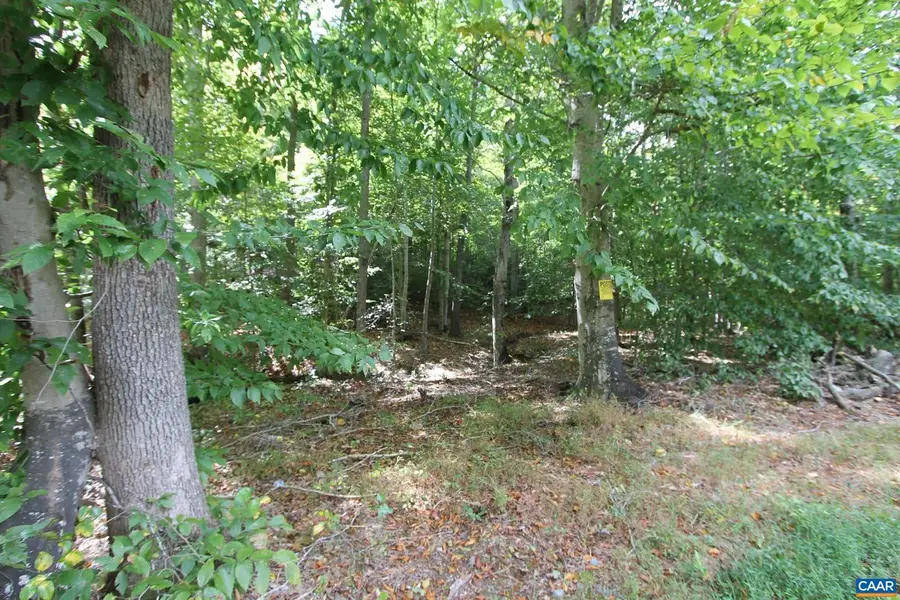 0 Louisa Rd, Keswick, VA 22947 - Image #3