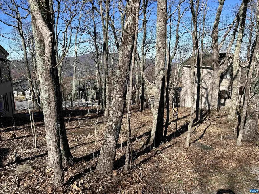 421 Blackrock Dr #17, Wintergreen Resort, VA 22967 - Image #2