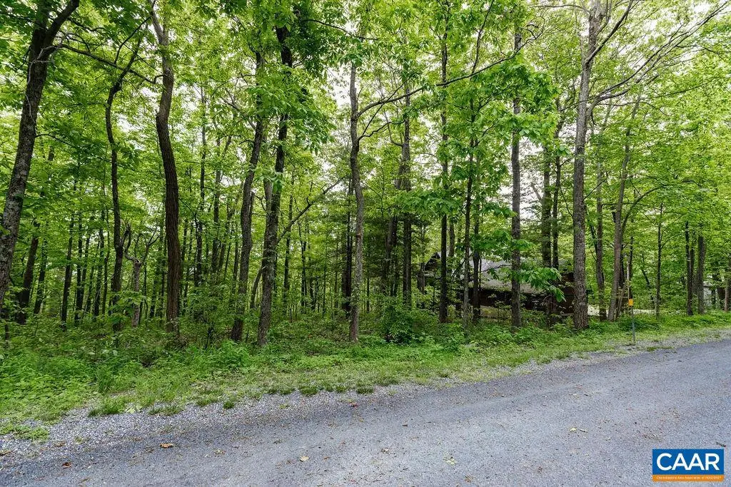 7 & 23 Wolftrap Ln #lots 52 & 53, Wintergreen Resort, VA 22967 - Image #1