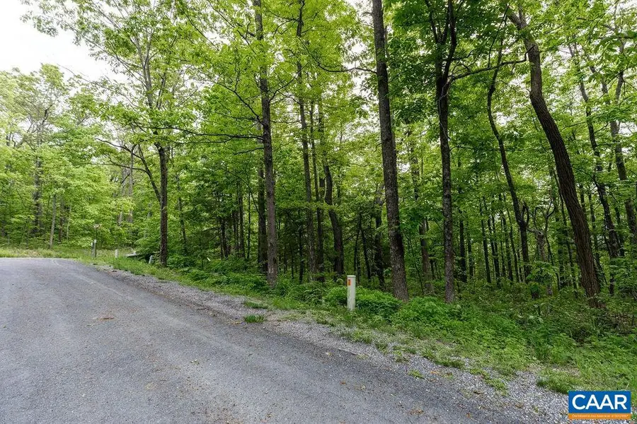 7 & 23 Wolftrap Ln #lots 52 & 53, Wintergreen Resort, VA 22967 - Image #3