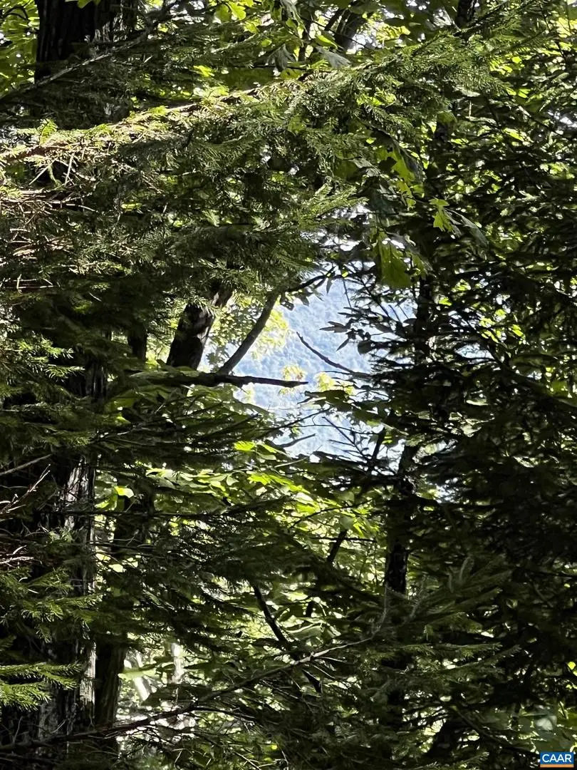 Tbd Shamokin Springs Trl #155 Chestnut Springs, Wintergreen Resort, VA 22967 - Image #1