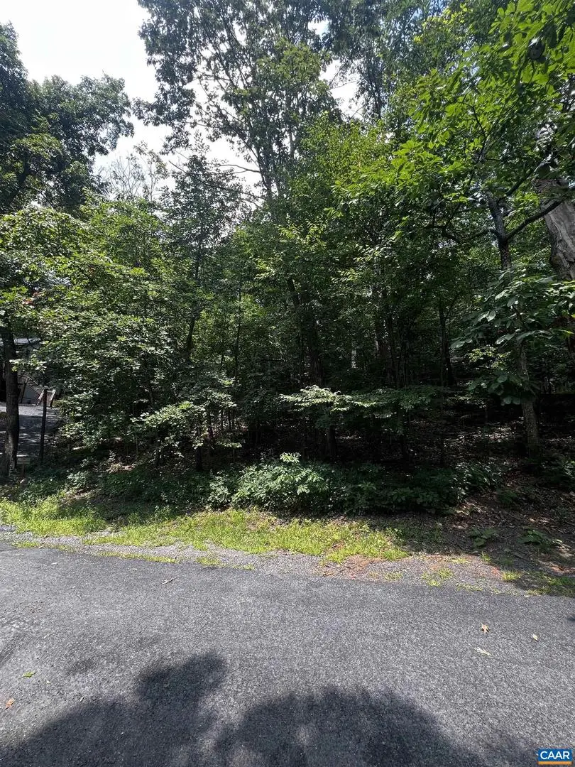 Tbd Weeping Rock Ln #35 Laurel Springs, Wintergreen Resort, VA 22967 - Image #2