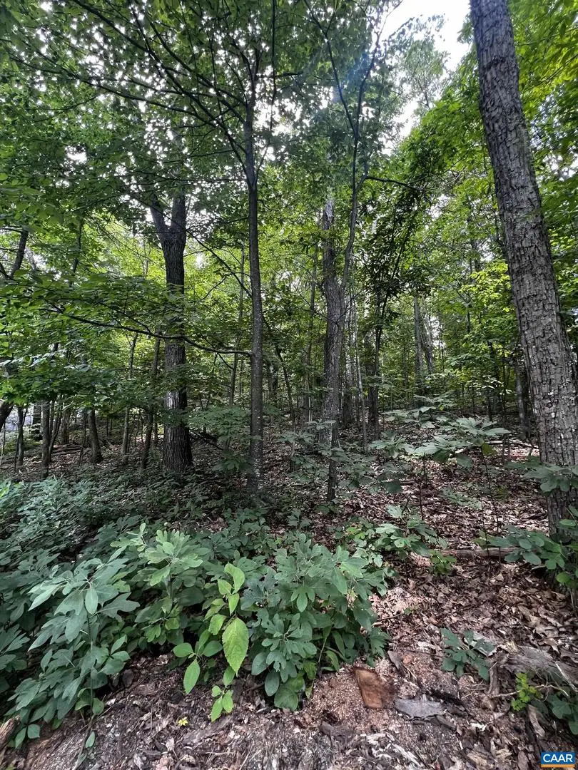 Tbd Weeping Rock Ln #35 Laurel Springs, Wintergreen Resort, VA 22967 - Image #3