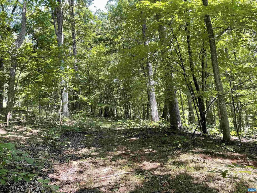 633 Stone Chimneys Rd, Nellysford, VA 22958 - Image #3