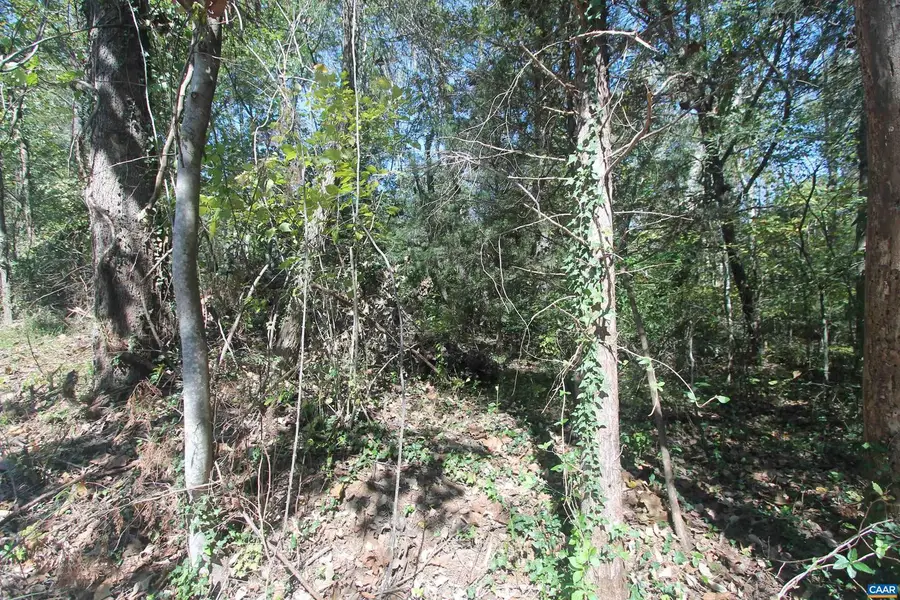Tbd 1 Toco Hl #020b0, North Garden, VA 22959 - Image #3