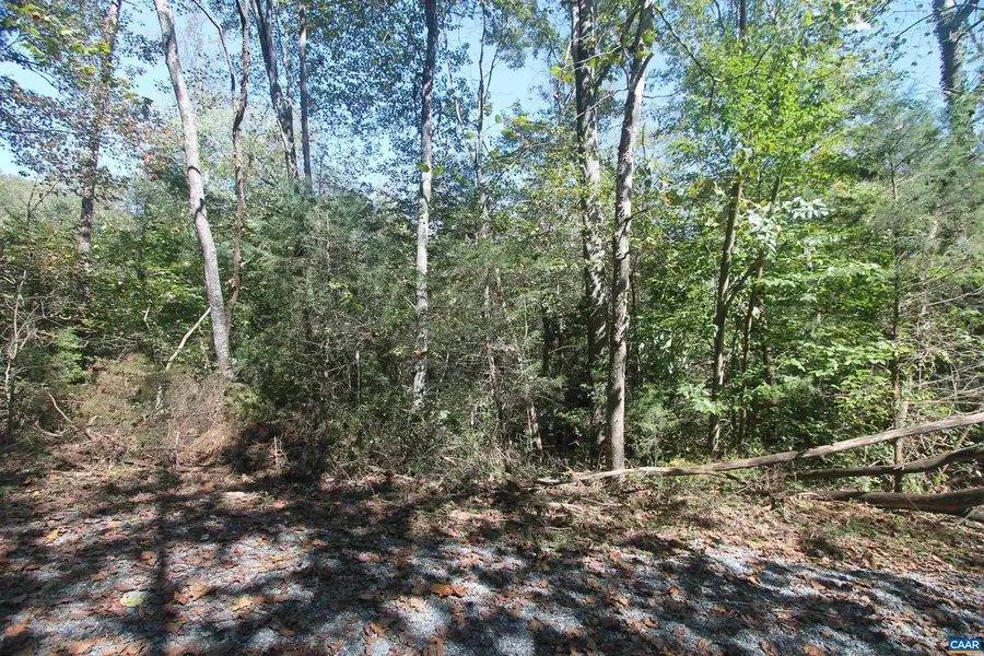 Tbd-2 Toco Hl #020b1, North Garden, VA 22959 - Image #2