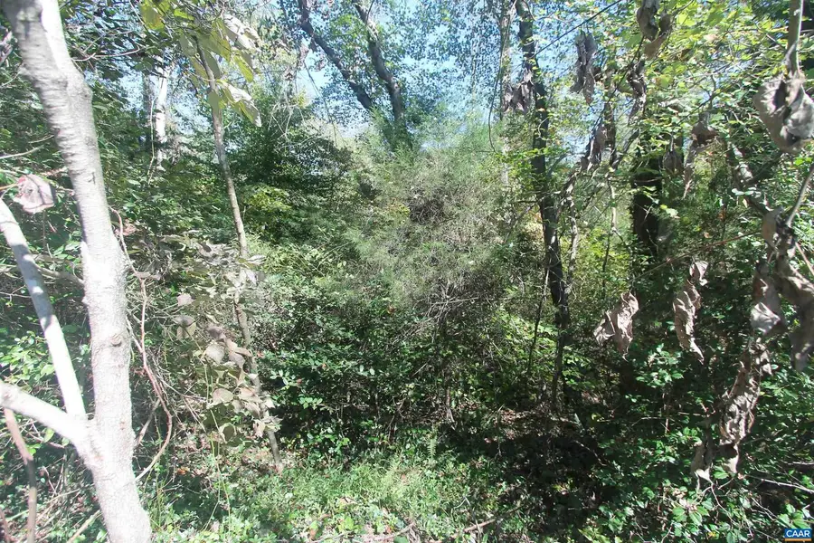 Tbd-2 Toco Hl #020b1, North Garden, VA 22959 - Image #3