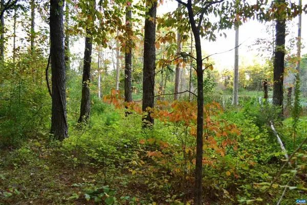 2a Scottsville Rd #2a, CHARLOTTESVILLE, VA 22902