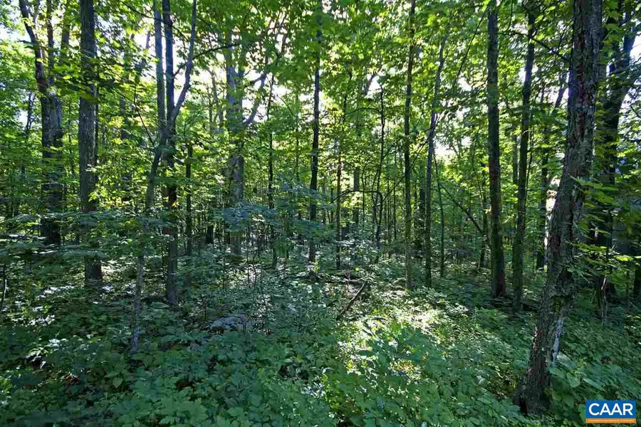 25 Stony Cove Ln, Wintergreen Resort, VA 22967 - Image #2