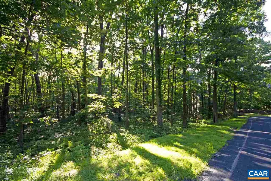 25 Stony Cove Ln, Wintergreen Resort, VA 22967 - Image #3
