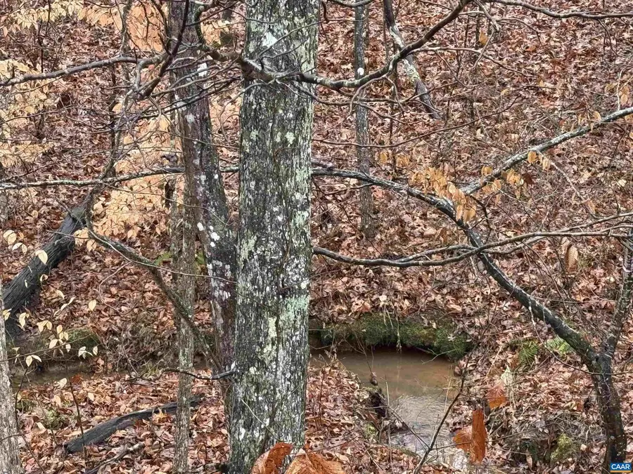 6872 W James Anderson Hwy #10, Gladstone, VA 24553 - Image #2