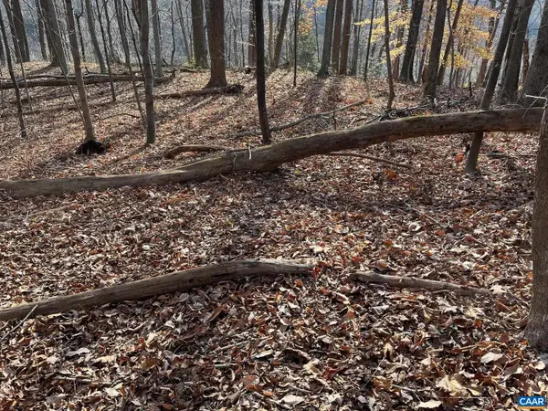 Monacan Trail Rd, COVESVILLE, VA 22931